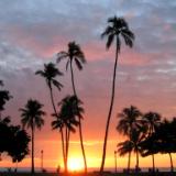 Sunkiss Sunset