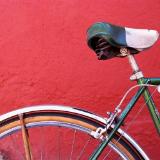 The Bike