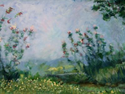 Cleome and Coreopsis