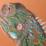 Iggy the Lizard