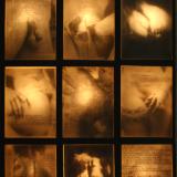 Fragments of a Dream